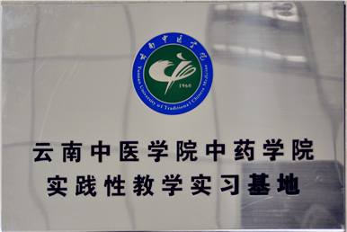 企業(yè)榮譽(yù)7