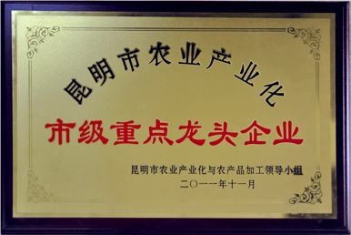 企業(yè)榮譽(yù)1